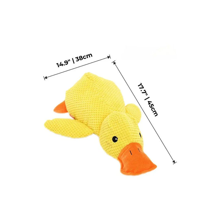 Dog Toy Duck