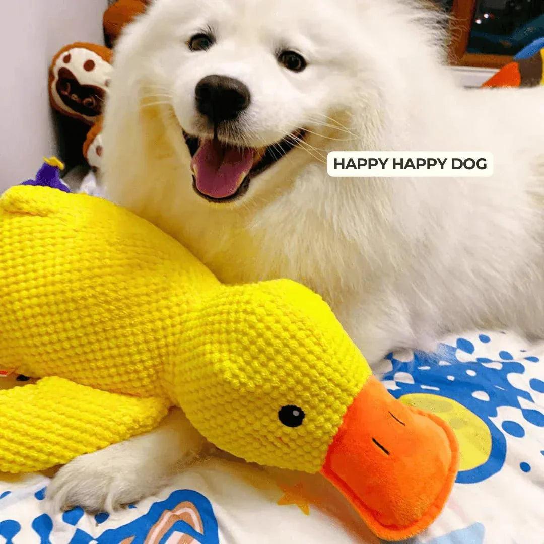 Dog Toy Duck