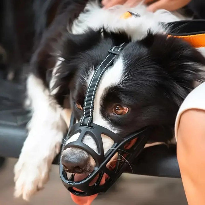 Adjustable Nylon Dog Muzzle Safety Device Canine Muzzle