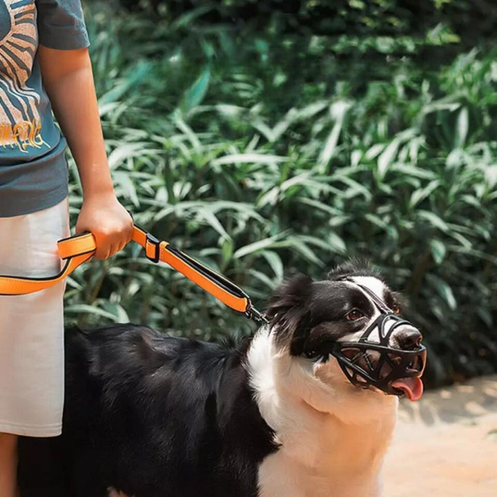 Adjustable Nylon Dog Muzzle Safety Device Canine Muzzle