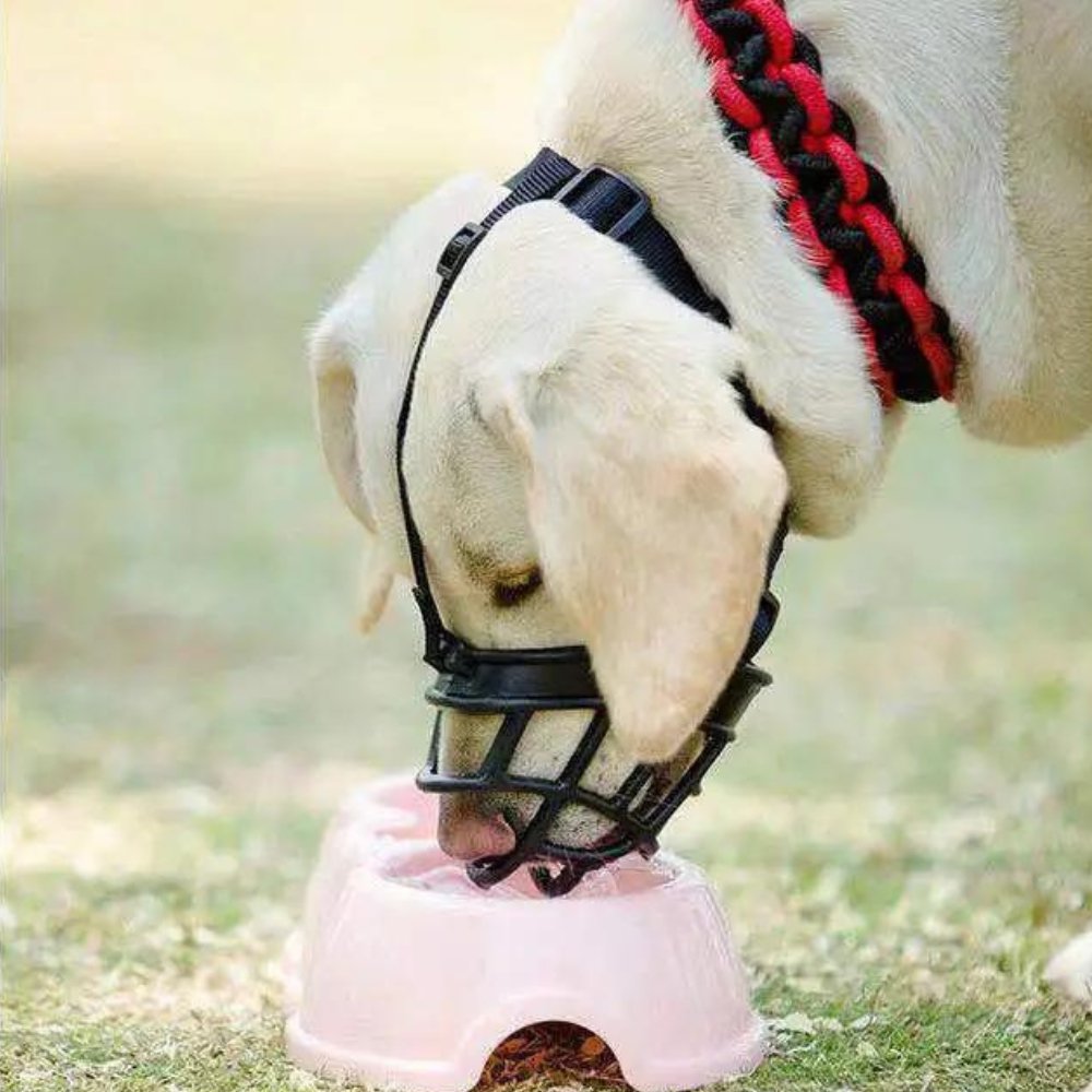 Dog Muzzle Adjustable Canine Muzzle SecureFit