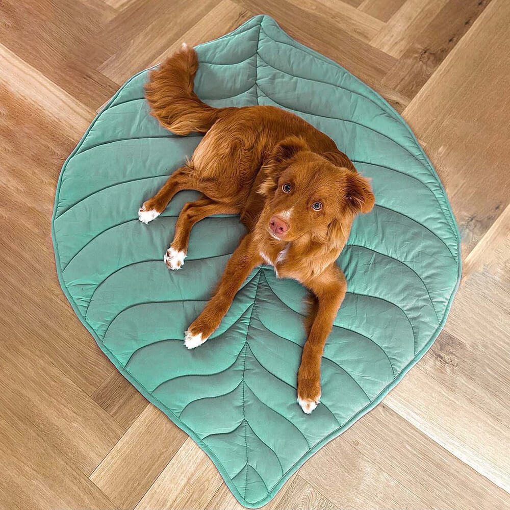 Large Dog Blanket Mat Dog Bed Cover