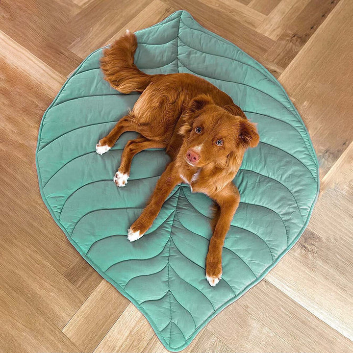 Large Dog Blanket Mat Dog Bed Cover