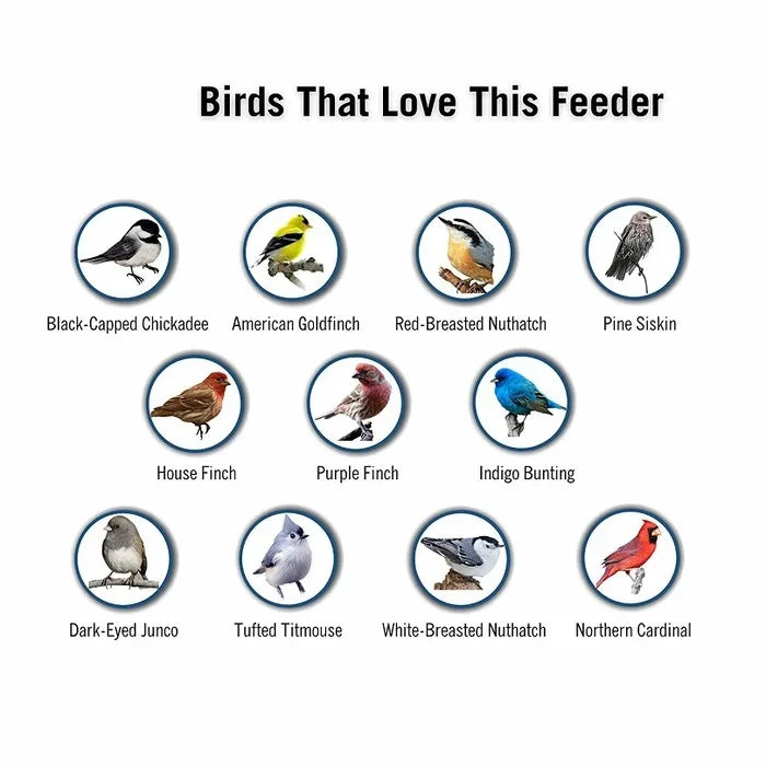 Squirrel Proof Bird Feeder Hanging Outdoor Feeder