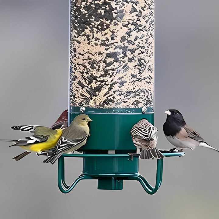 Squirrel Proof Bird Feeder Hanging Outdoor Feeder
