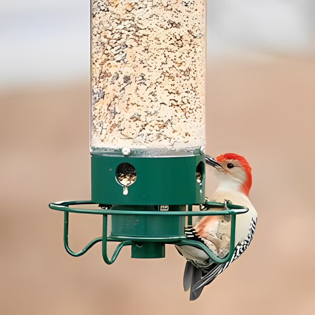 Squirrel Proof Bird Feeder Hanging Outdoor Feeder