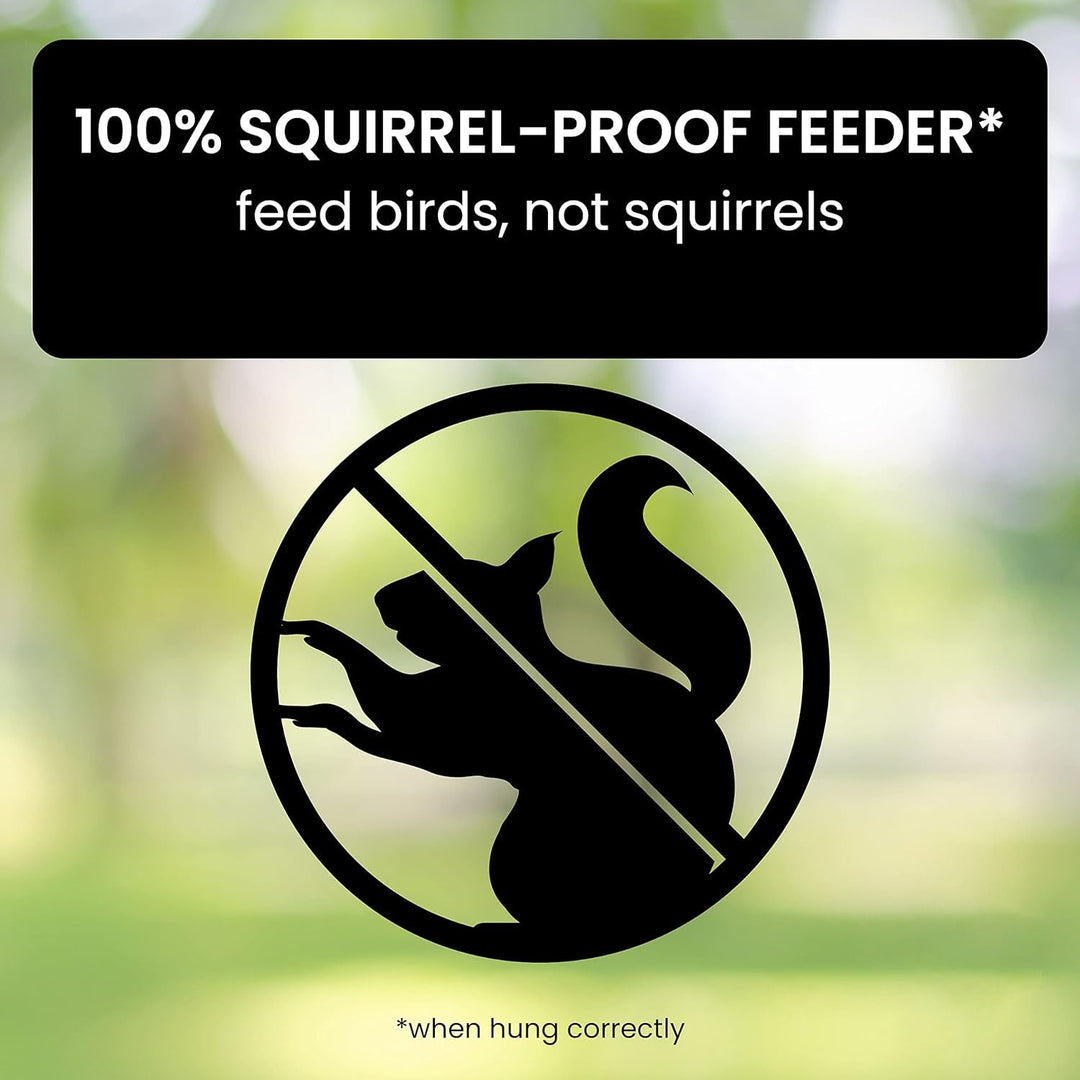 Squirrel Proof Bird Feeder Hanging Outdoor Feeder