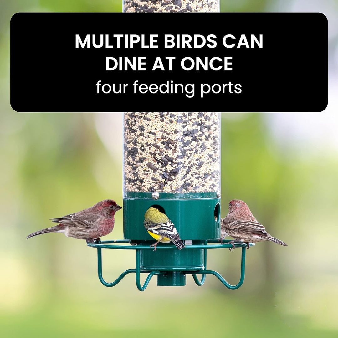 Squirrel Proof Bird Feeder Hanging Outdoor Feeder