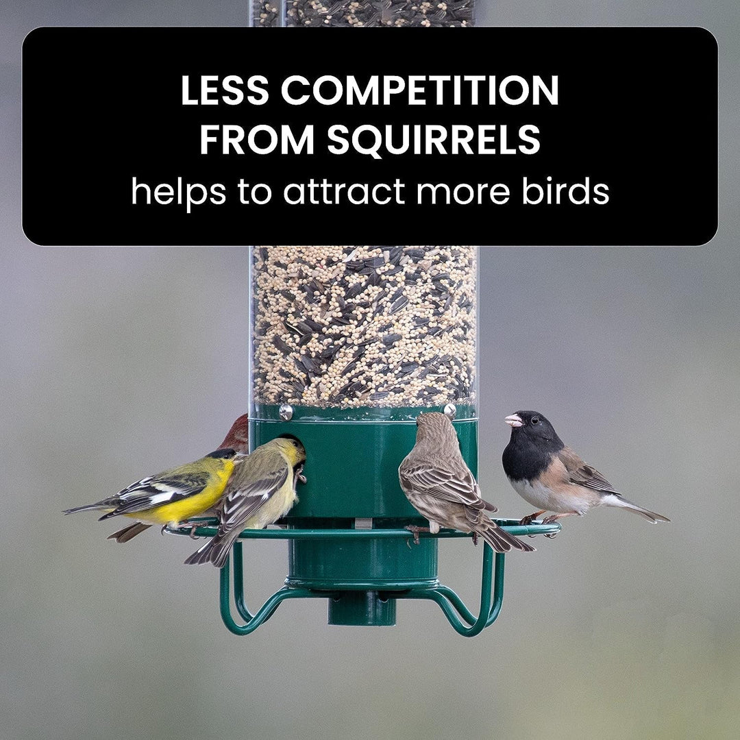Squirrel Proof Bird Feeder Hanging Outdoor Feeder