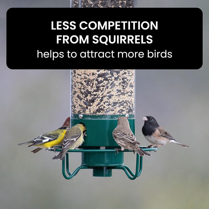 Squirrel Proof Bird Feeder Hanging Outdoor Feeder