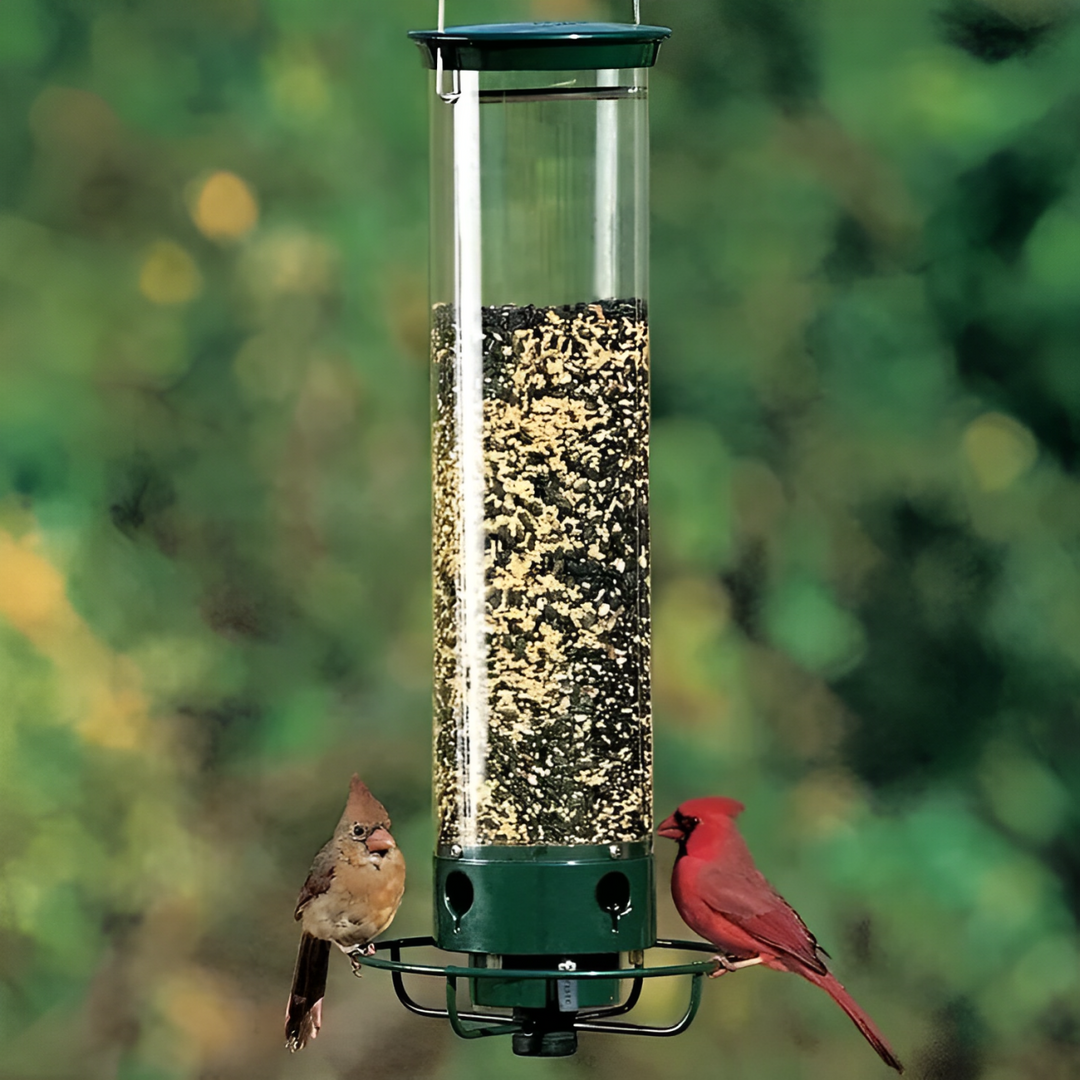Squirrel Proof Bird Feeder Hanging Outdoor Feeder